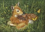 (image for) Fawn